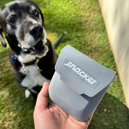 Pocket Dog Treat Pouch